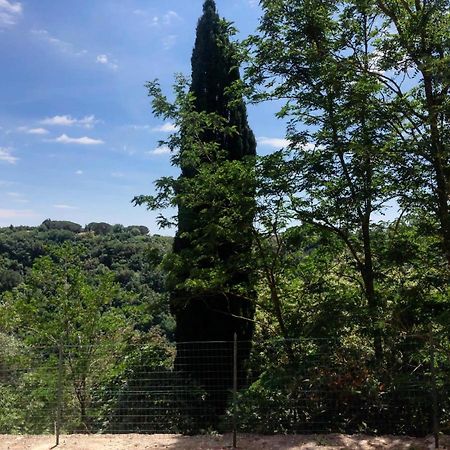 La Casa All'Oliveto Apartment Pitigliano Ngoại thất bức ảnh