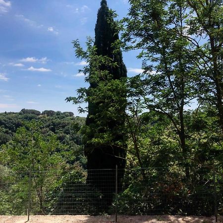La Casa All'Oliveto Pitigliano Ngoại thất bức ảnh
