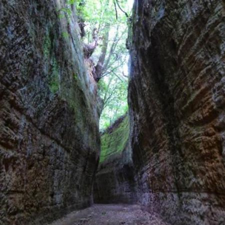 La Casa All'Oliveto Pitigliano Ngoại thất bức ảnh