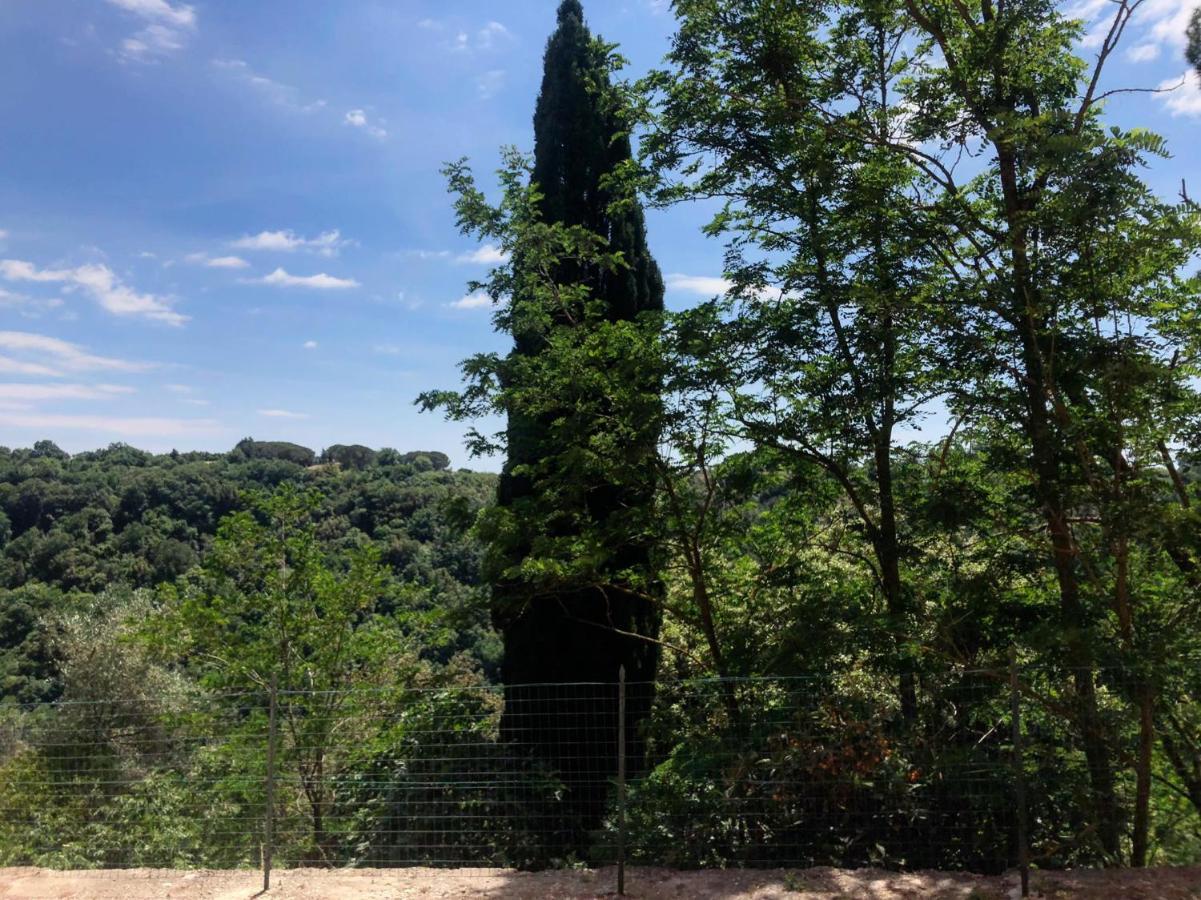 La Casa All'Oliveto Apartment Pitigliano Ngoại thất bức ảnh