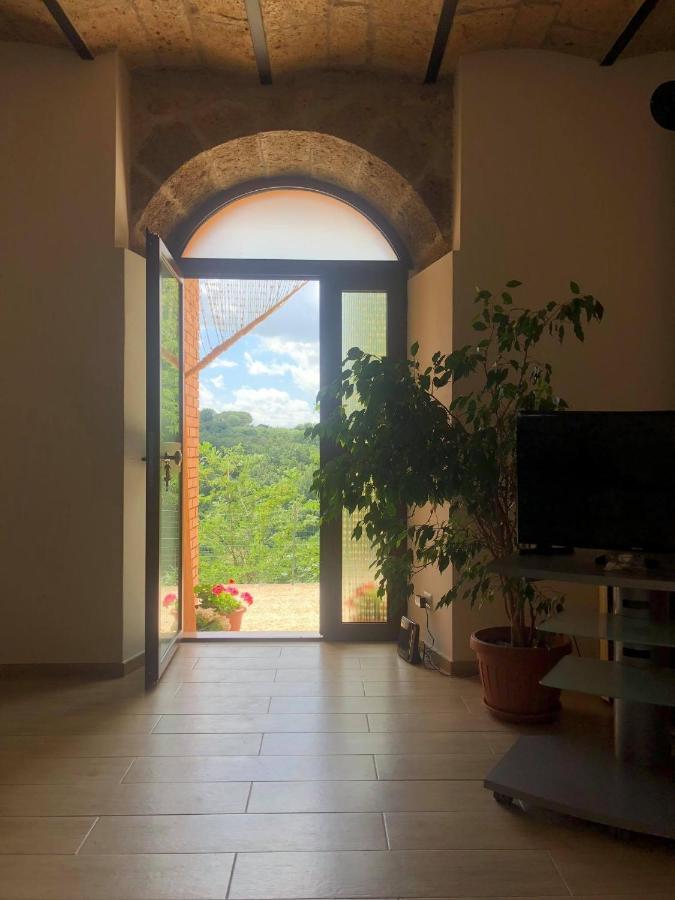 La Casa All'Oliveto Apartment Pitigliano Ngoại thất bức ảnh